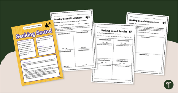 Go to Seeking Sound Waves Experiment teaching resource