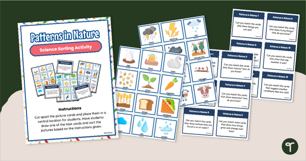Go to Patterns in Nature - Science Sorting Activity teaching resource