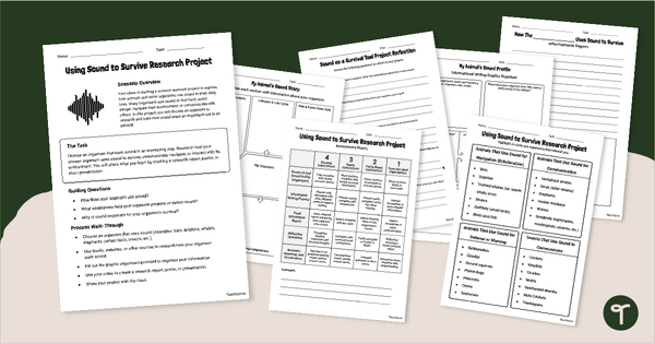 Go to Animals Surviving With Sound Research Project teaching resource