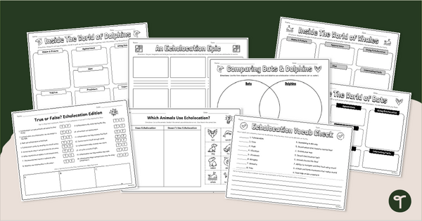 Go to Echolocation Activity Sheets teaching resource