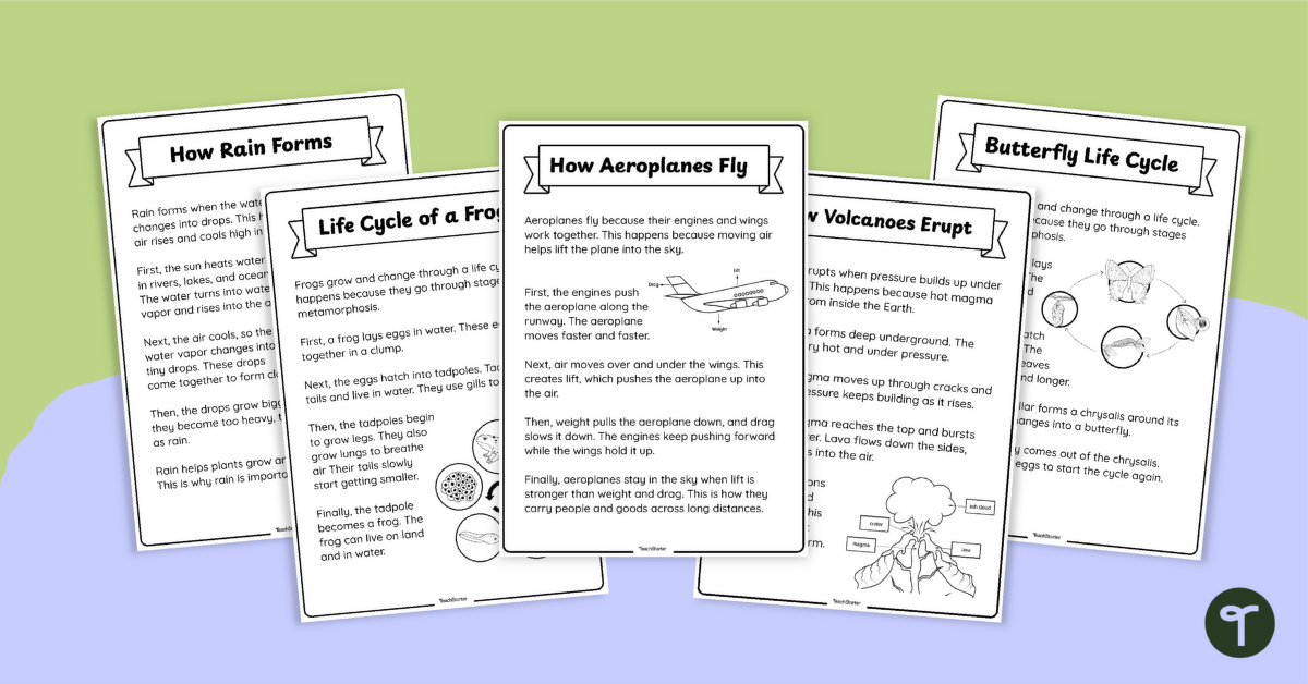 Explanation Report Text Examples and Worksheet Pack teaching resource