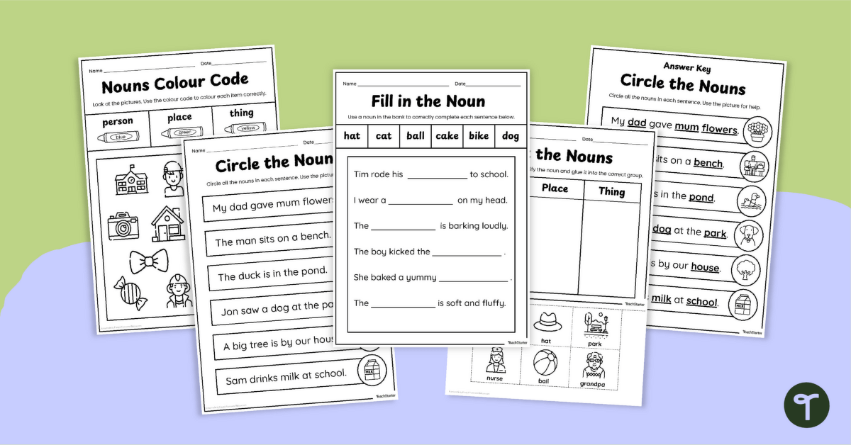 Nouns Worksheet Pack teaching resource
