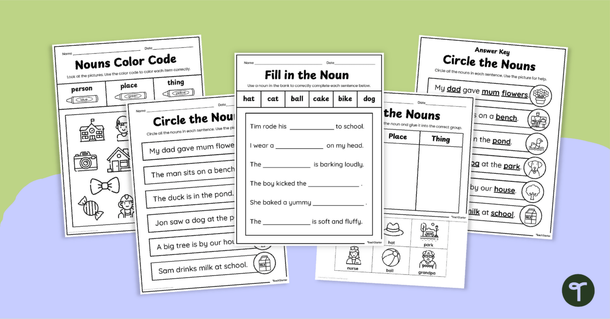 Nouns Worksheet Pack teaching resource