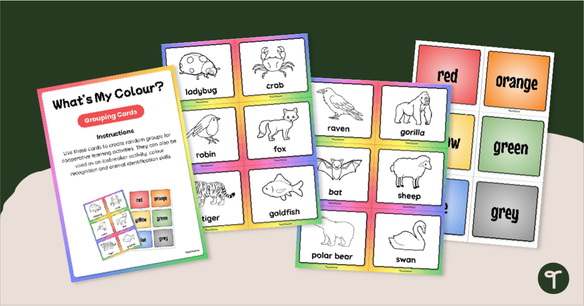 What's My Colour? - Grouping Cards and Matchup Activity teaching resource