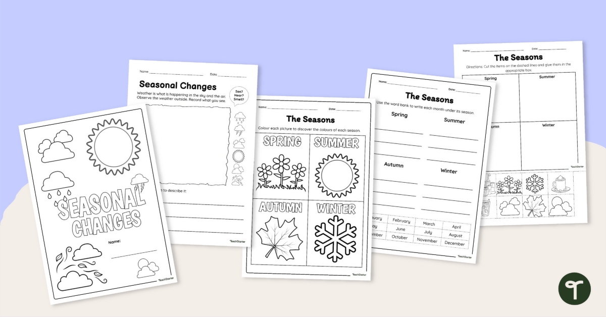 Seasonal Changes Worksheets teaching resource
