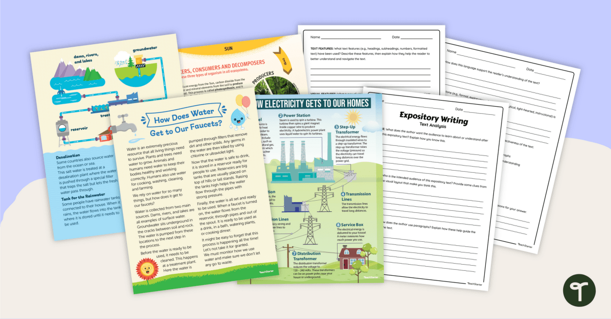 Expository Text Examples and Analysis Worksheets teaching resource