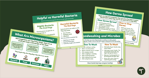 Go to Microorganisms - Good and Bad Bacteria Poster Pack teaching resource