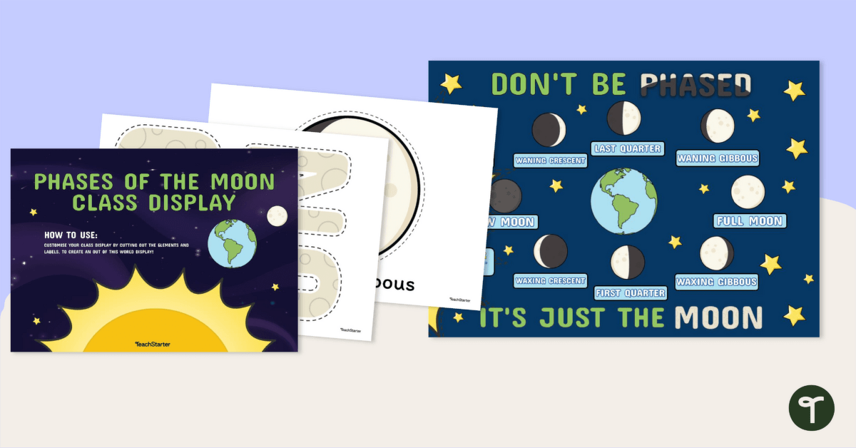 Phases of the Moon Class Display teaching resource