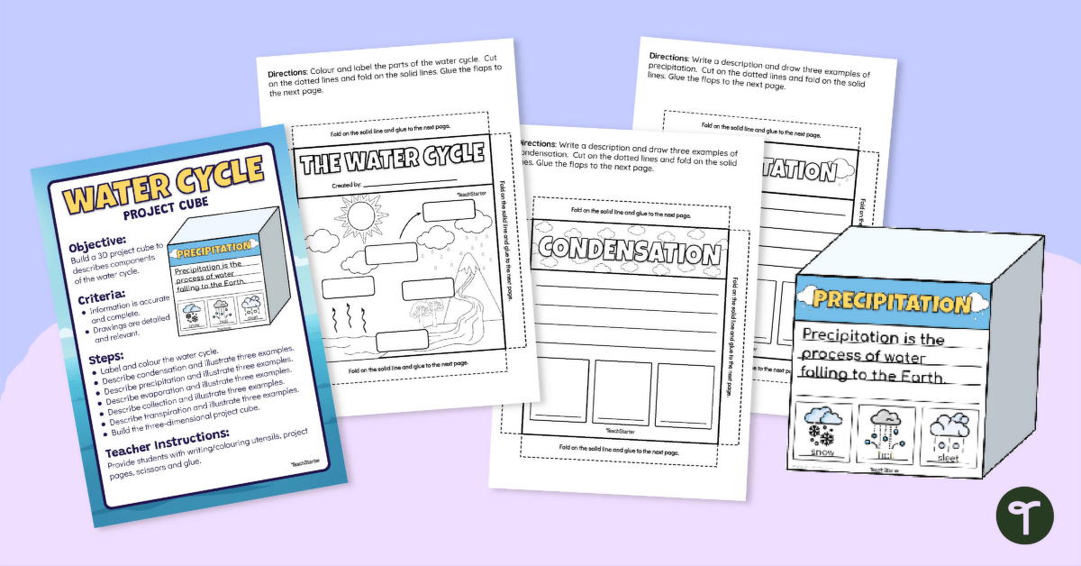 Water Cycle Cube Project teaching resource