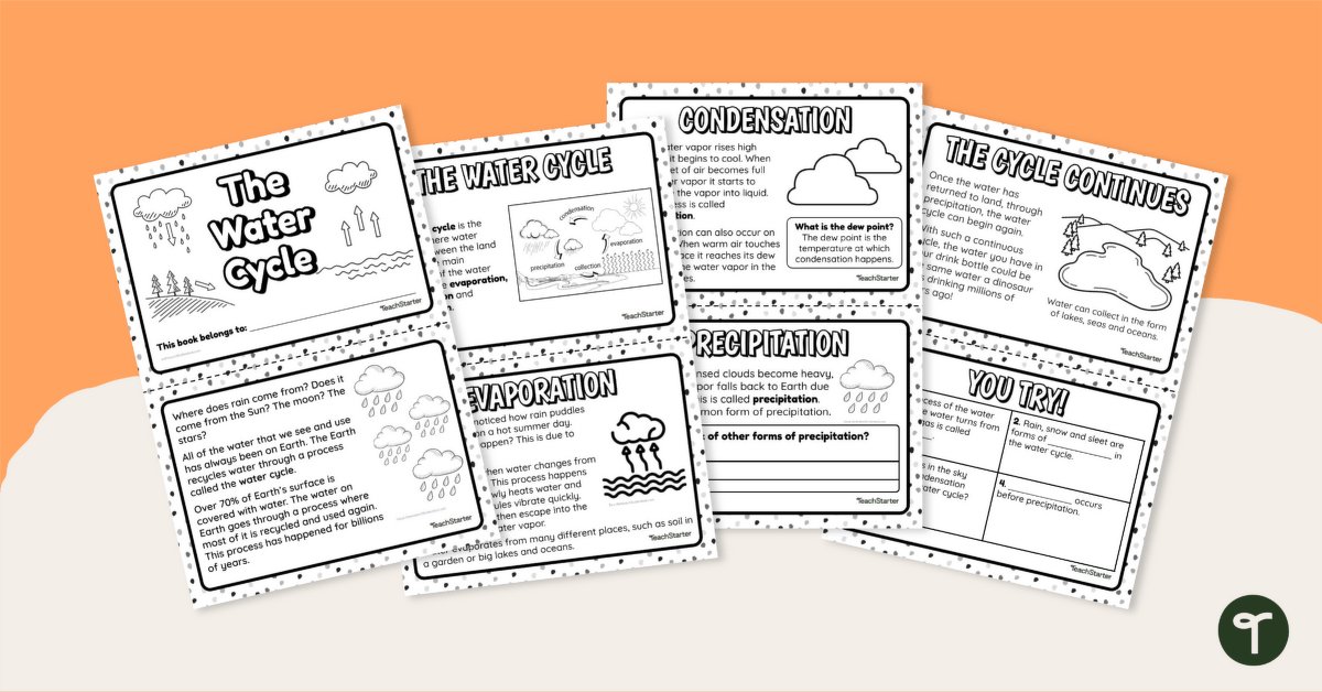Water Cycle Booklet (Advanced) teaching resource