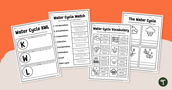 Go to Water Cycle Worksheet Pack teaching resource