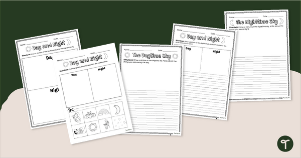 Go to Day and Night Worksheets teaching resource