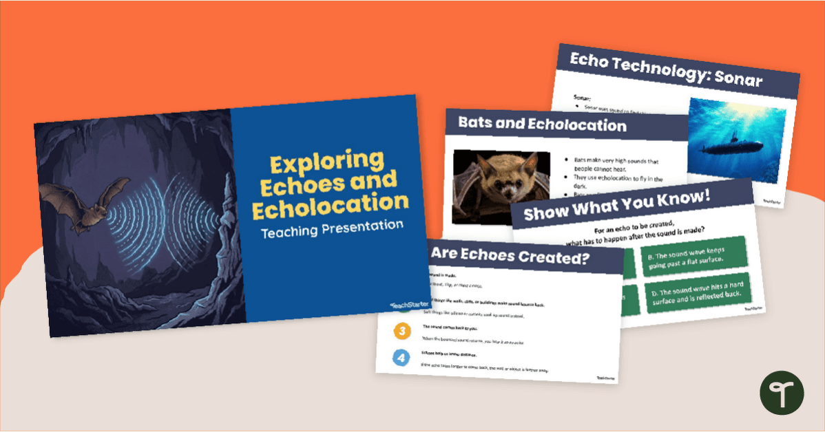 Echoes and Echolocation PowerPoint teaching resource