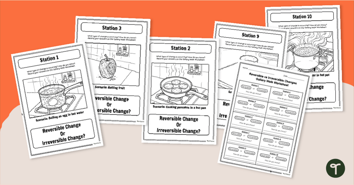 Reversible vs Irreversible Changes Gallery Walk Activity teaching resource