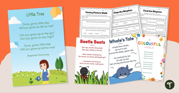 Go to Analysing Poetry Pack - Year 1 teaching resource