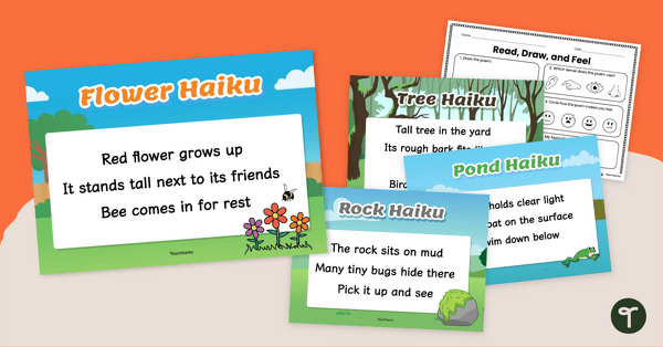 Go to Haiku Poem Resource Pack teaching resource