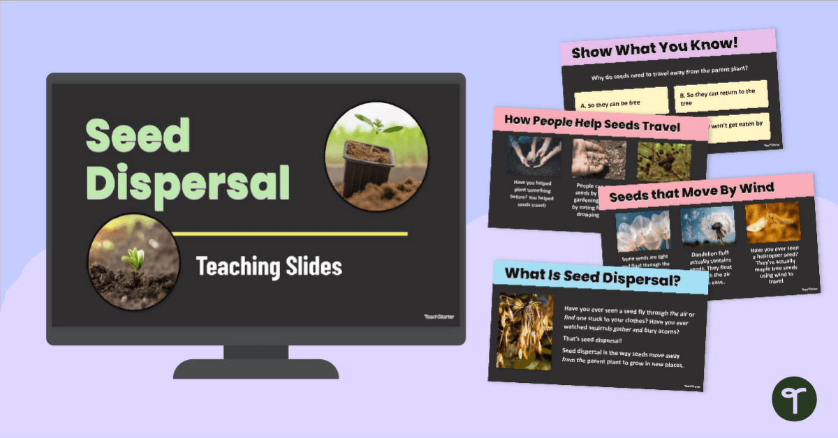 Seed Dispersal PowerPoint teaching resource