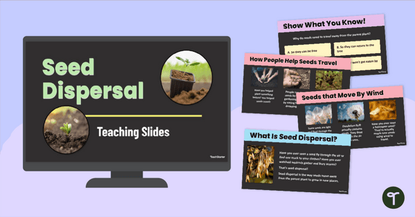 Go to Seed Dispersal PowerPoint teaching resource