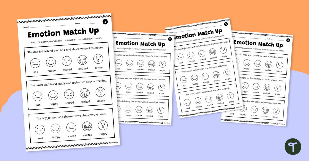 Emotion Match Passages Worksheet Pack teaching resource
