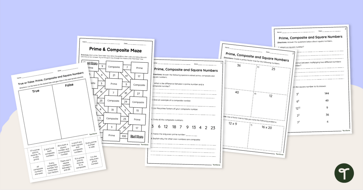 Prime, Composite and Square Numbers Worksheet Pack teaching resource