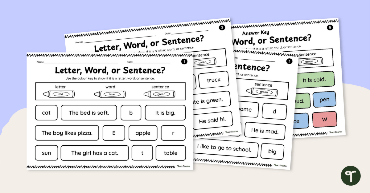 Letter, Word or Sentence Activity Pack teaching resource