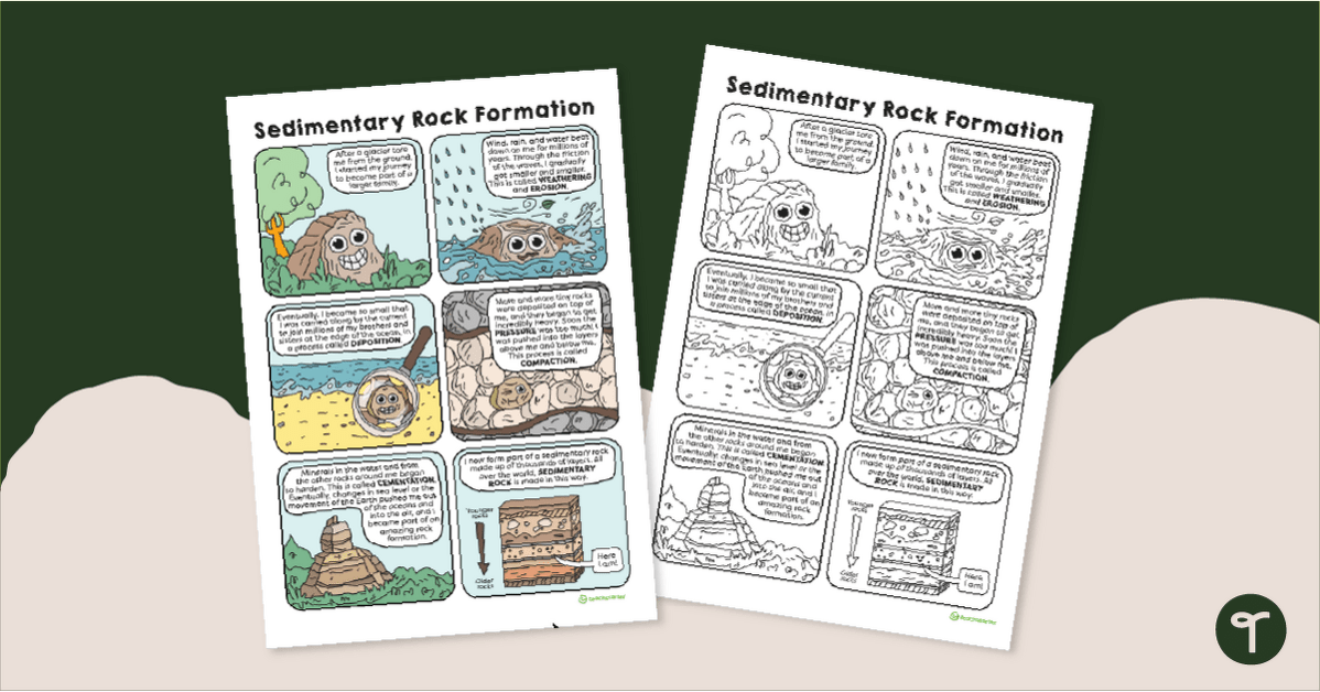 Sedimentary Rock Formation Poster teaching resource