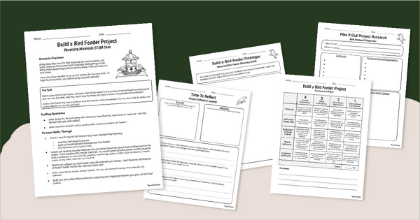 Go to Build a Bird Feeder Project (Recycling Materials) teaching resource