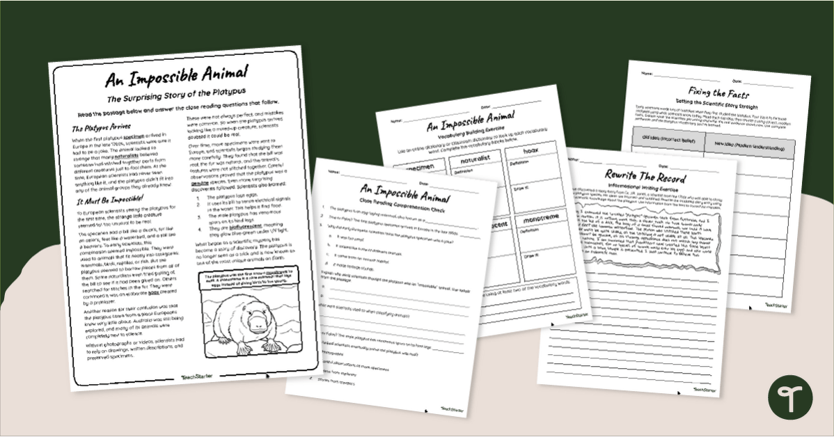 ‘An Impossible Animal’ Platypus Reading Comprehension Worksheet teaching resource