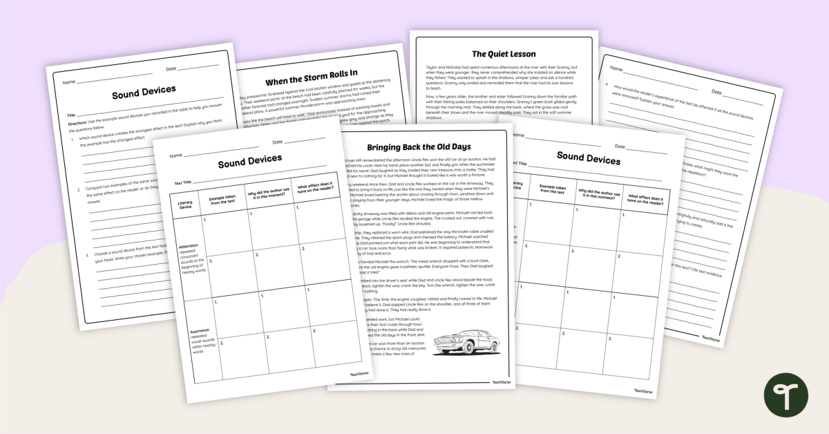 Analysing Sound Devices in Literature Worksheets teaching resource