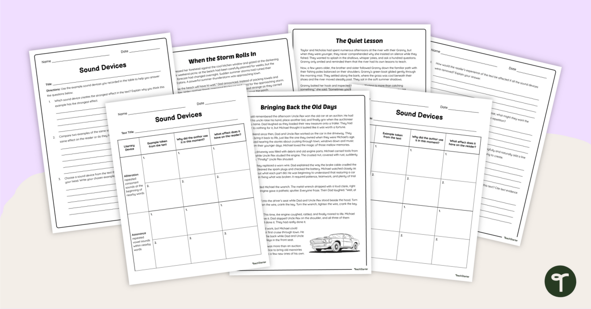 Analyzing Sound Devices in Literature Worksheets teaching resource