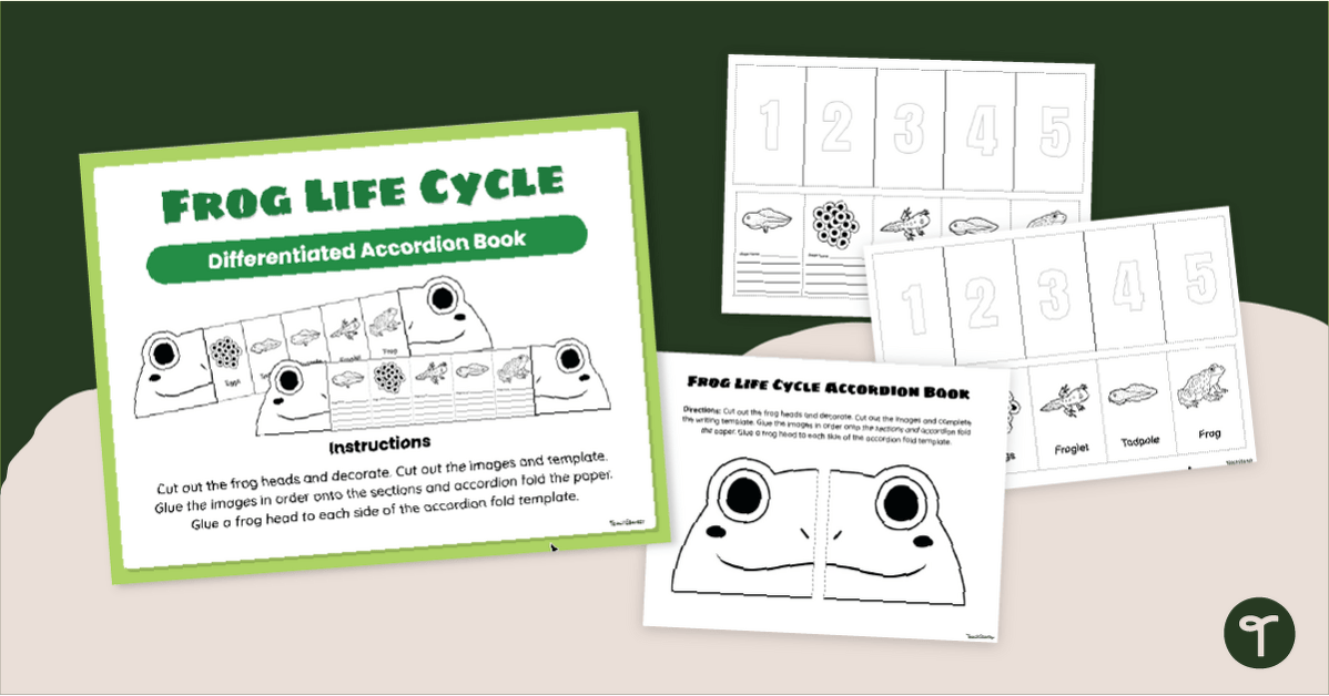 Frog Life Cycle Foldable Template teaching resource
