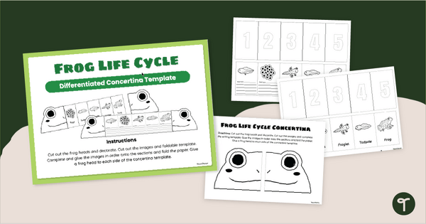 Go to Frog Life Cycle Foldable Template teaching resource