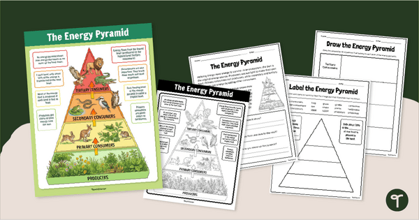 Go to Energy Pyramid Poster & Worksheets teaching resource