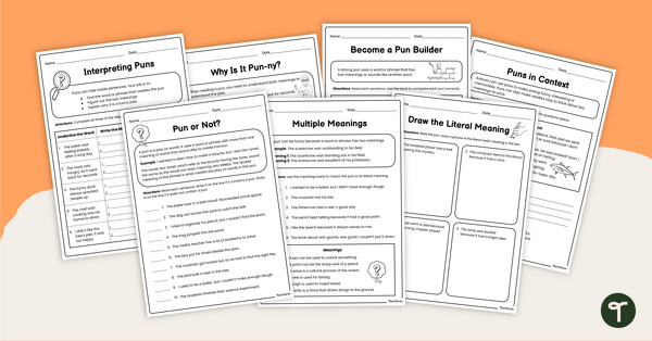 Go to Puns Worksheet Pack teaching resource