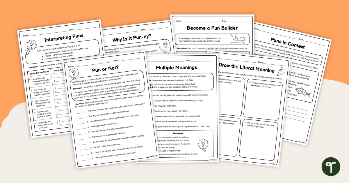 Puns Worksheet Pack teaching resource
