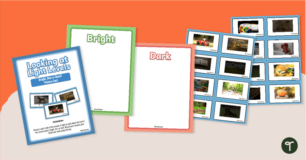 Bright, Dim, or Dark? Light Levels Sorting Activity teaching resource