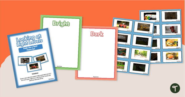 Go to Bright, Dim, or Dark? Light Levels Sorting Activity teaching resource