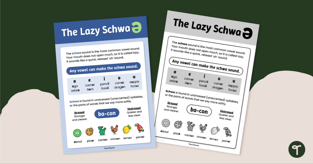 Schwa Anchor Chart teaching resource