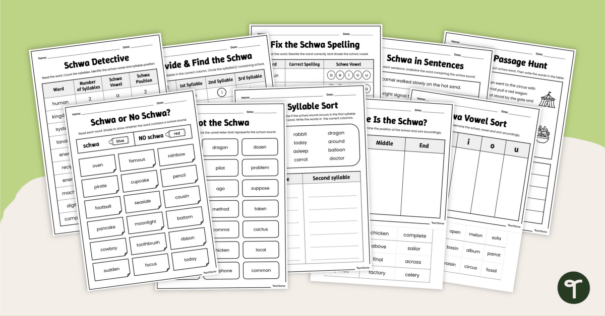 Schwa Sound Worksheets teaching resource