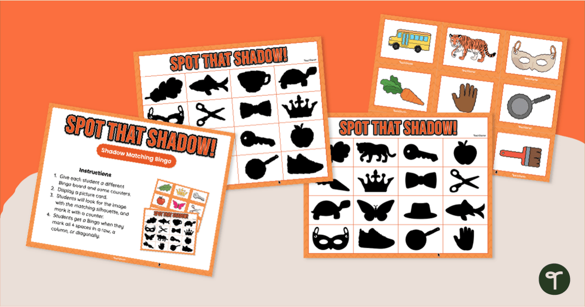 Shadow Matching Game - Bingo teaching resource
