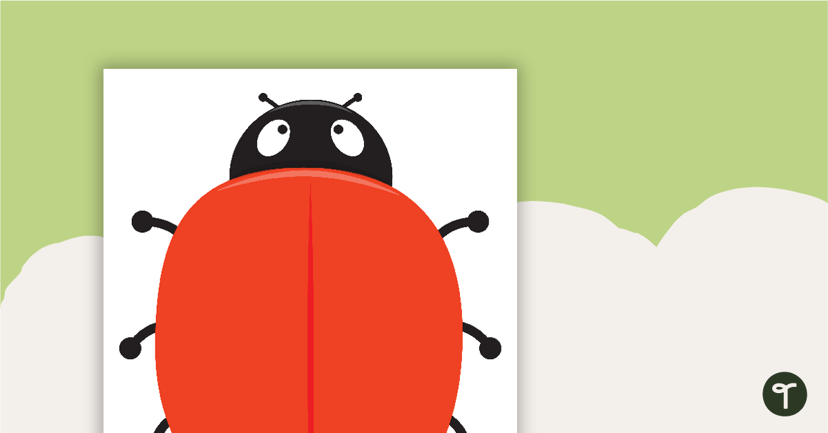 Ladybug Addition and Subtraction Activity teaching resource