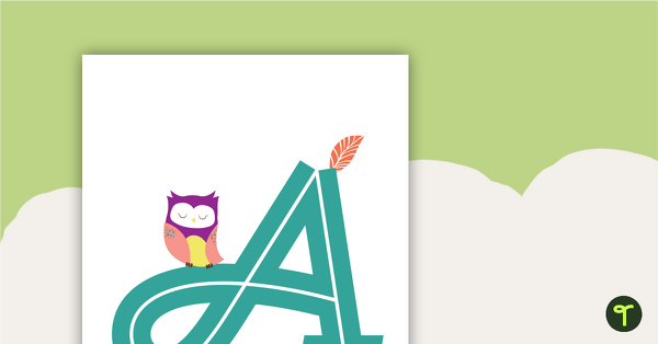 Owls - Letter, Number And Punctuation Sets teaching resource