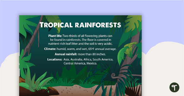 Go to Tropical Rainforests Fact Sheet teaching resource