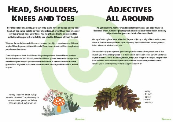 Adjectives All Around - Outdoor Observation Activity teaching resource