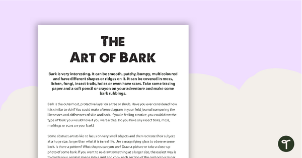 Preview image for The Art of Bark Outdoor Activity - teaching resource