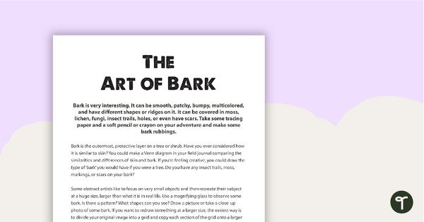 The Art of Bark Outdoor Activity teaching resource
