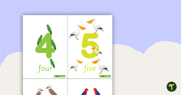 0-20 Number and Word Flashcards - Birds teaching resource