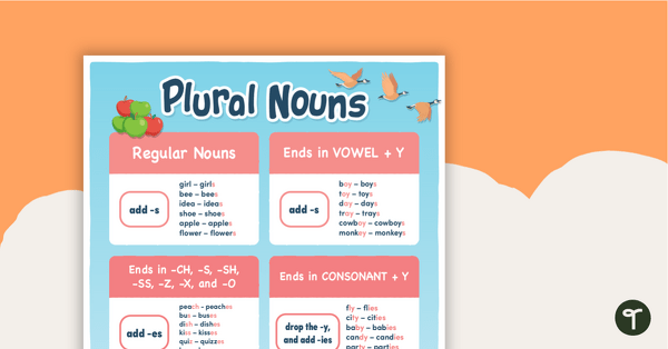 Plural Nouns Poster teaching resource