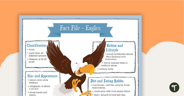 Informative Text Writing Task - Eagles teaching resource