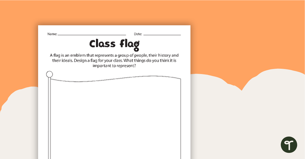 Preview image for Class Flag Activity Worksheet - teaching resource